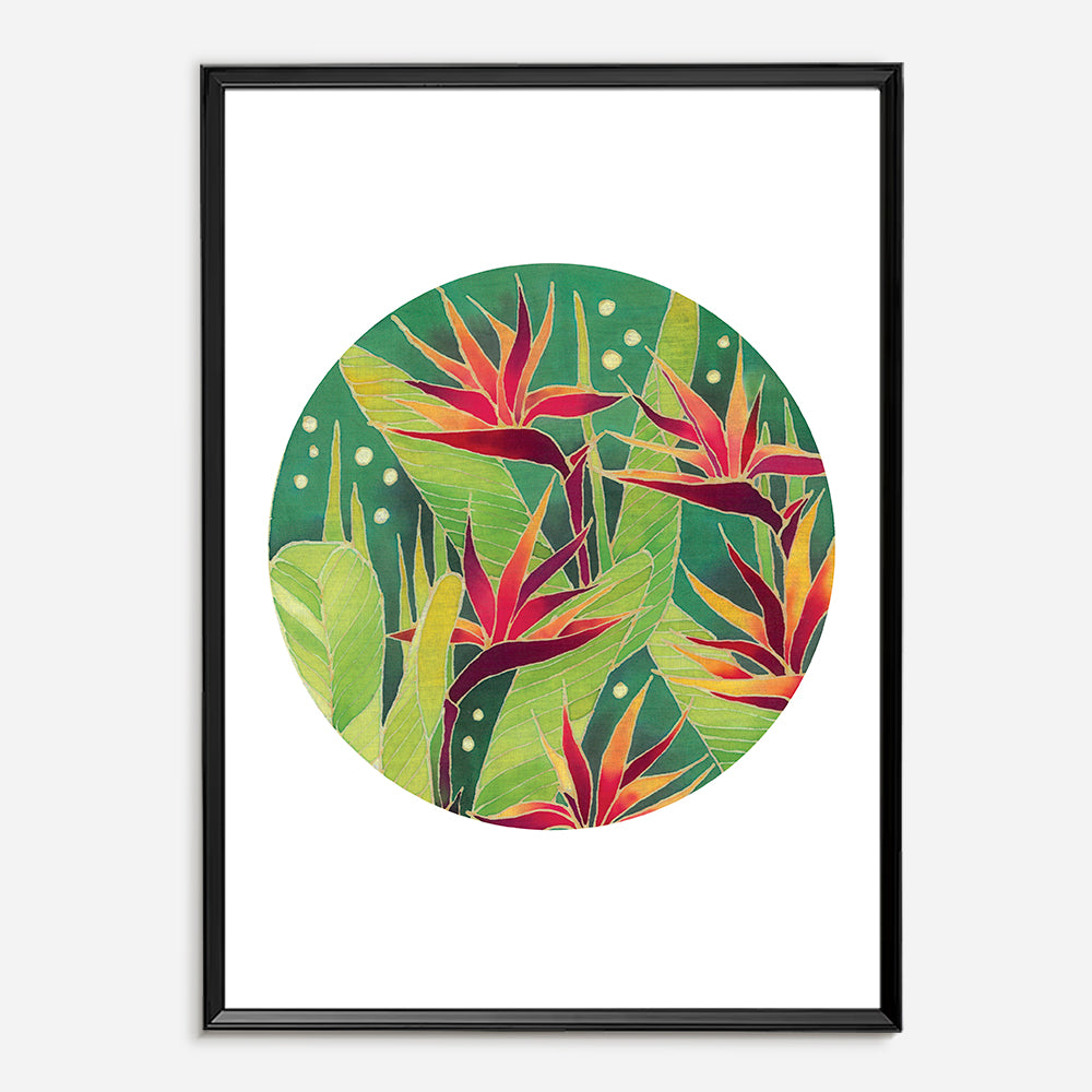 Bird of Paradise